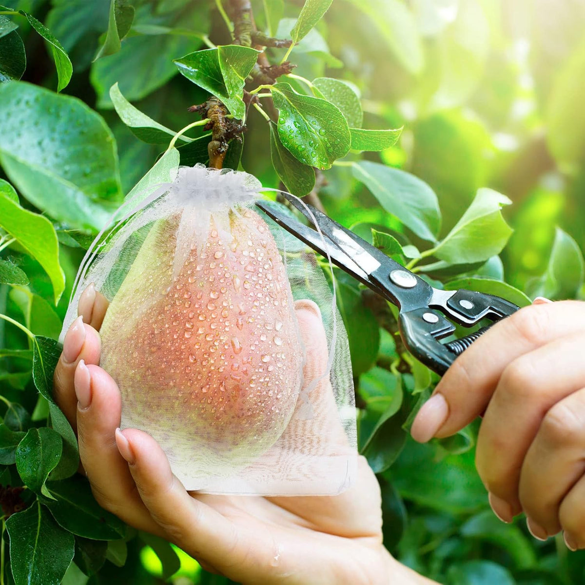 🔥🔥Mehr kaufen – mehr sparen!🥝🍊🍇Fruchtschutzbeutel – Effektiver Schutz für Ihre Früchte!