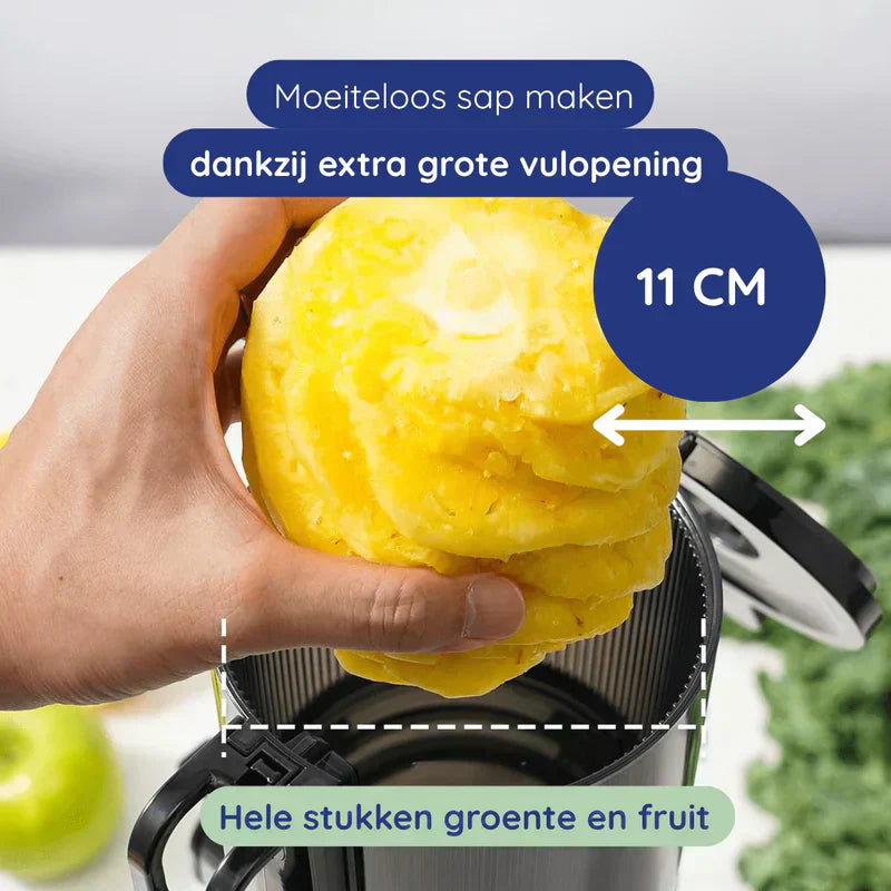 ✨🥤60% RABATT + KOSTENLOSER VERSAND🍎 Hochleistungs-Kaltpress-Entsafter – 110 mm extra breiter Einfülltrichter, 98 % Saftausbeute & einfache Reinigung ⚡
