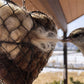 🐦🌱 Handgefertigtes Vogelnestherz aus Alpakafasern❤️