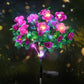 Solar-LED Blüten-Bodeneinstecker – Rhododendron Blumenleuchte für Garten & Terrasse🌺💡