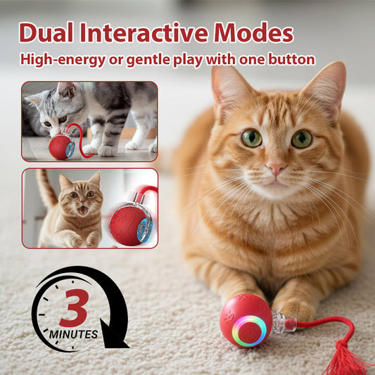Interaktiver Spielball für Katzen