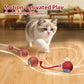 Interaktiver Spielball für Katzen